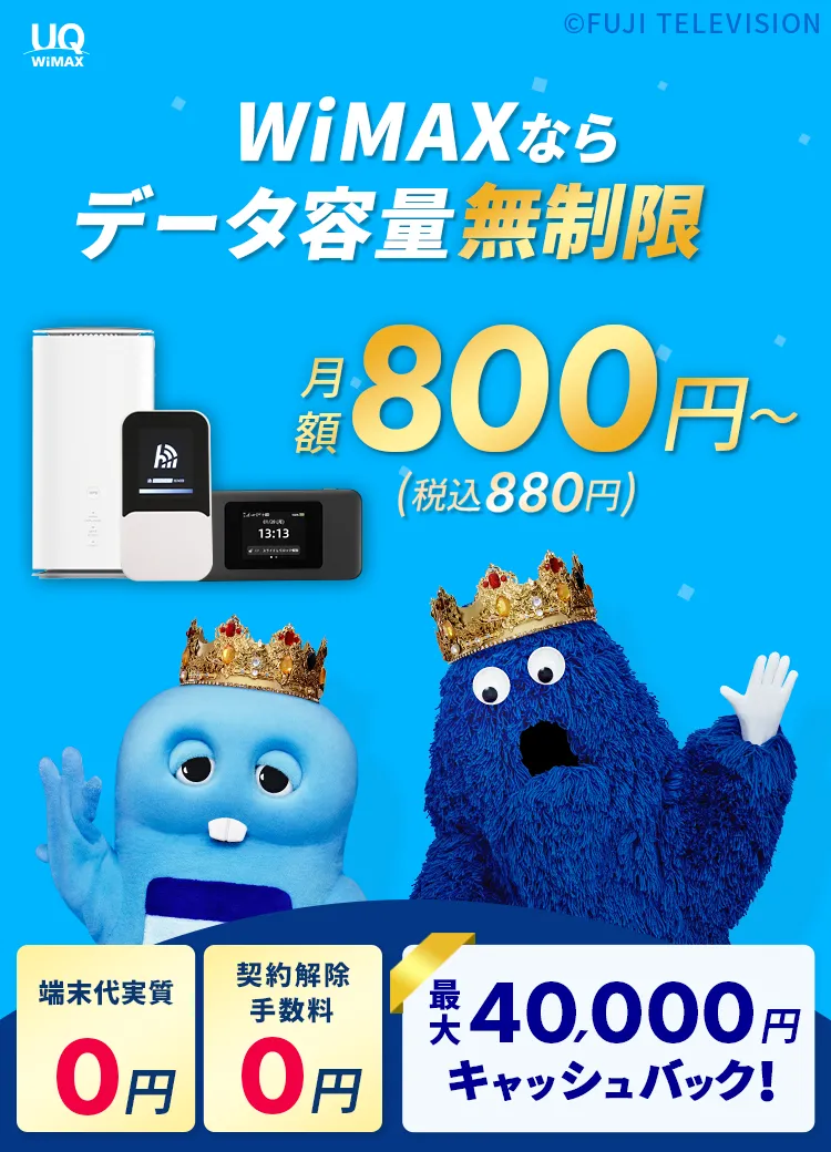 月額800円~(税込880円~)