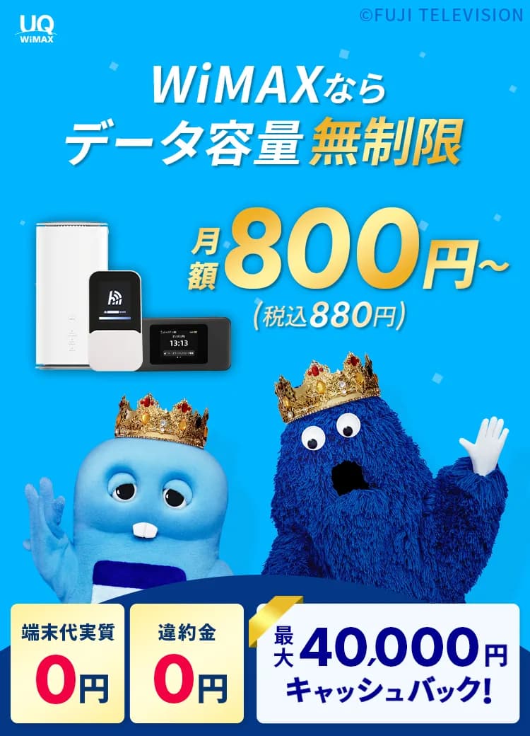 月額800円~(税込880円~)