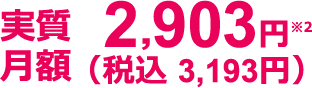 実質月額3,193円(税込)