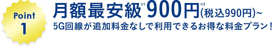 月額最安級900円(税込990円)～！