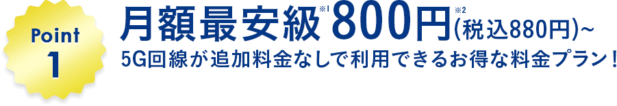 月額最安級900円(税込990円)～！