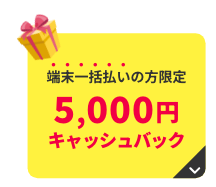 端末一括払いの方限定5,000円キャッシュバック