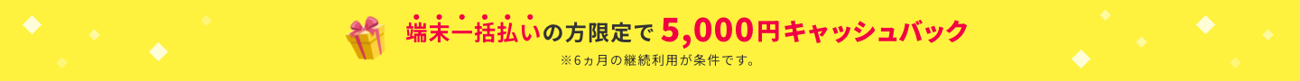 端末一括払いの方限定で5,000円キャッシュバック