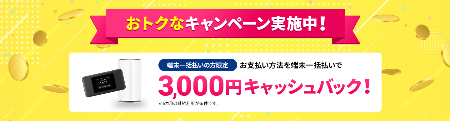 お得なキャンペーン実施中！3,000円キャッシュバック