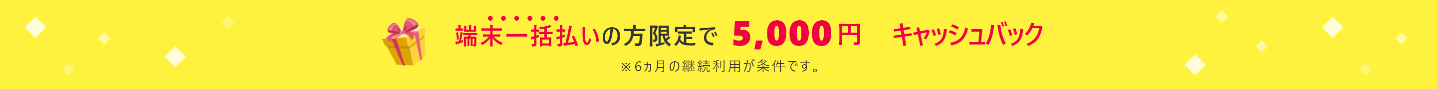 端末一括払いの方限定で5,000円キャッシュバック！