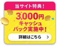 当サイト特典!3,000円キャッシュバック実施中!詳細はこちら