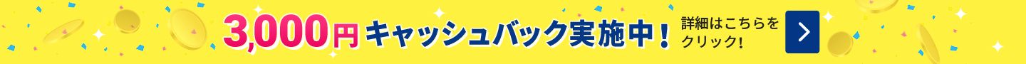 3000円キャッシュバック実施中！詳細はこちらをクリック