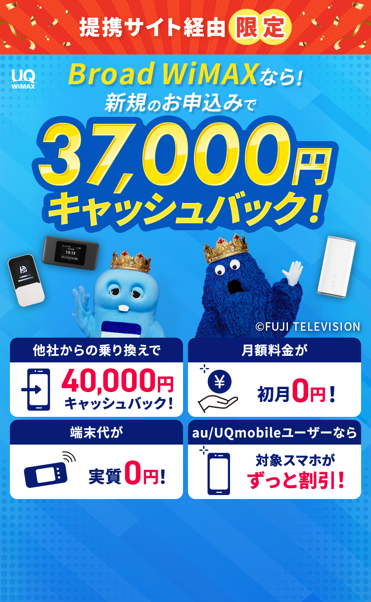 モバイルWi-FIのリアル経由限定